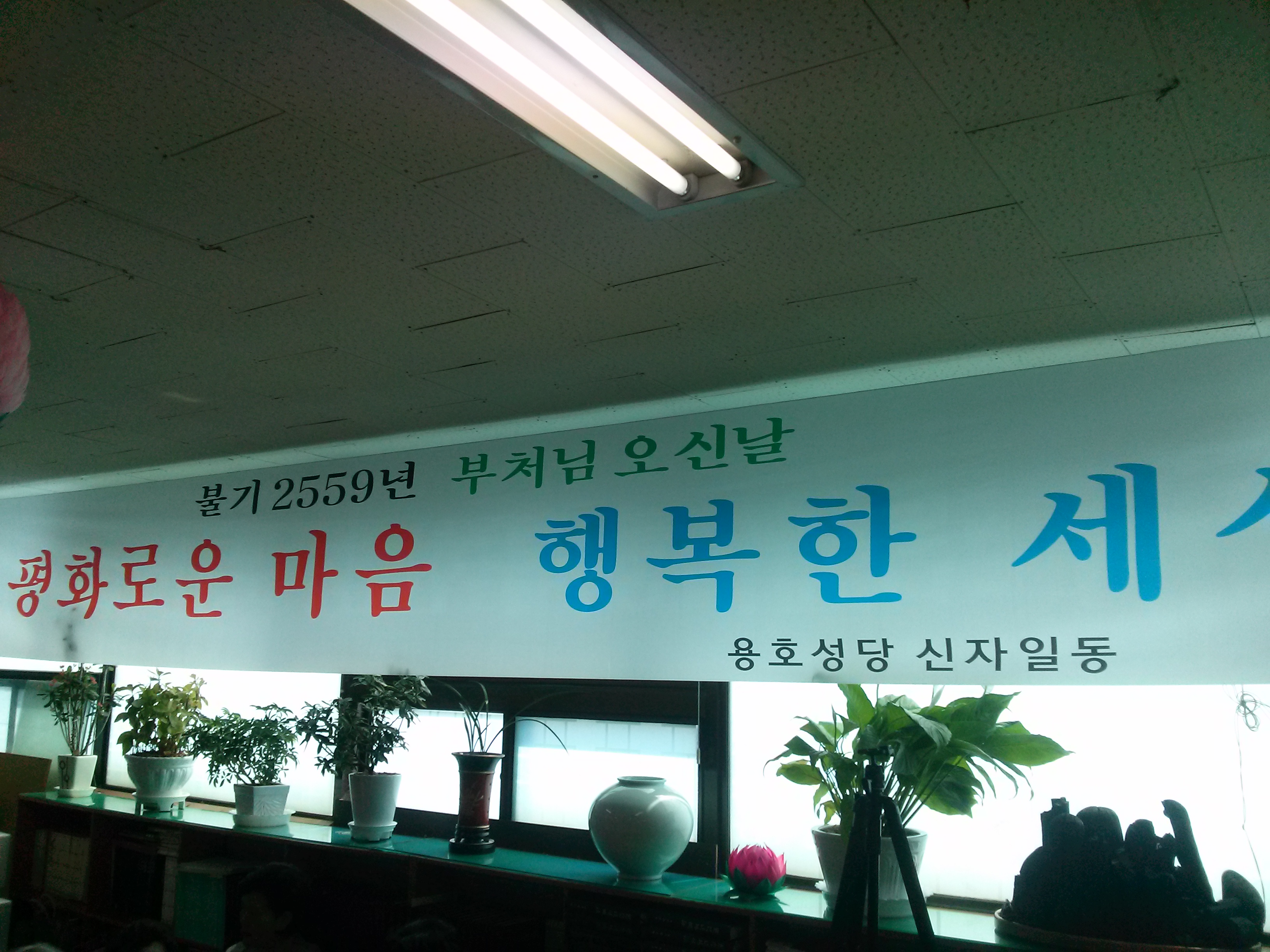 20150525_100734.jpg