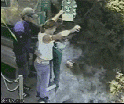 atgvCKZxqAFY7vnml.gif