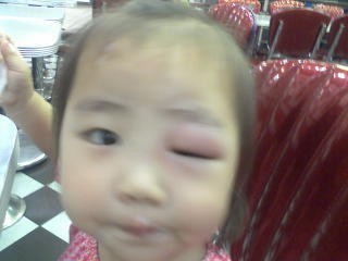 사진080524_1.jpg