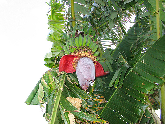 IMG_1629.jpg