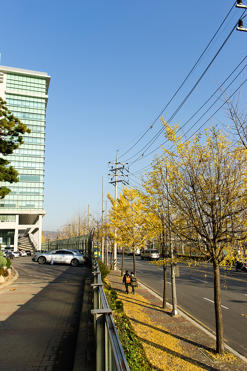 20121115_공업센터뒷길.png