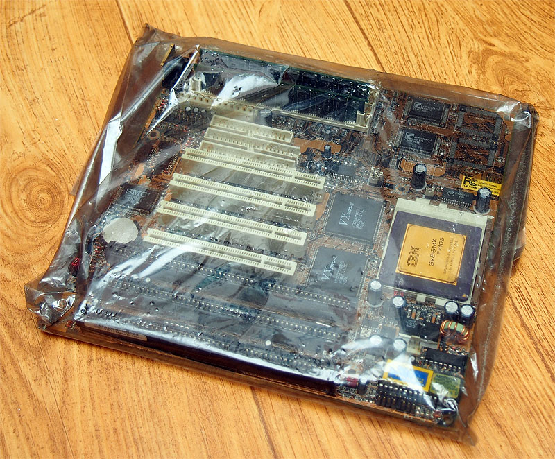 ol01.jpg