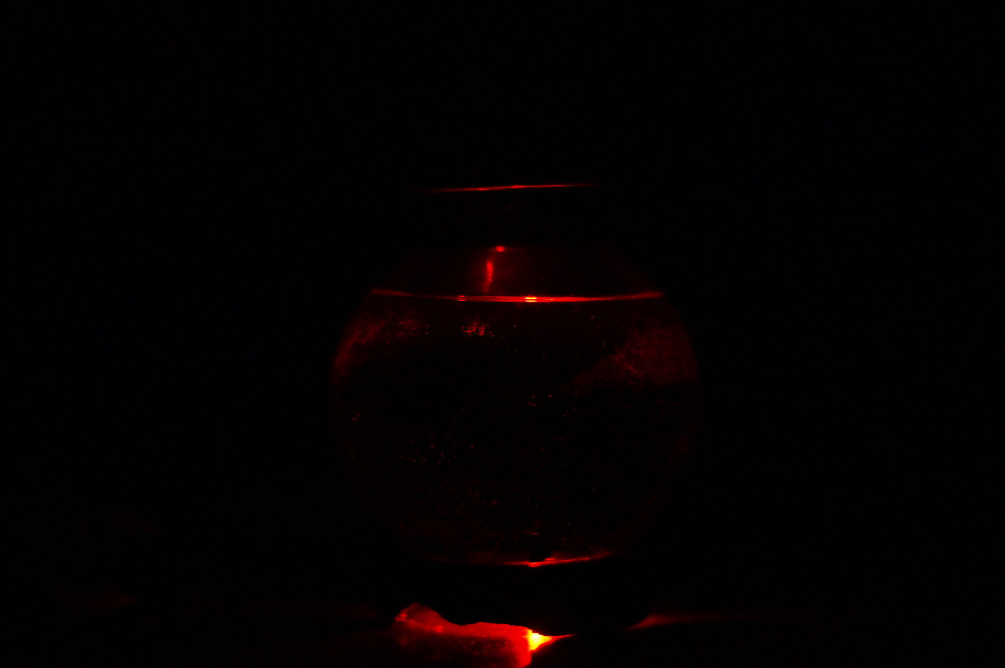 DSC09694.JPG