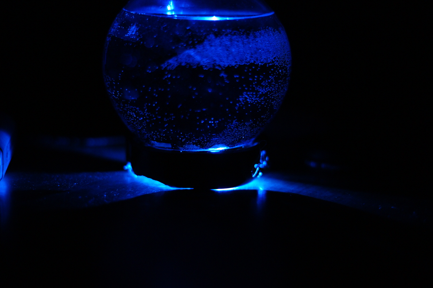 DSC09710.JPG
