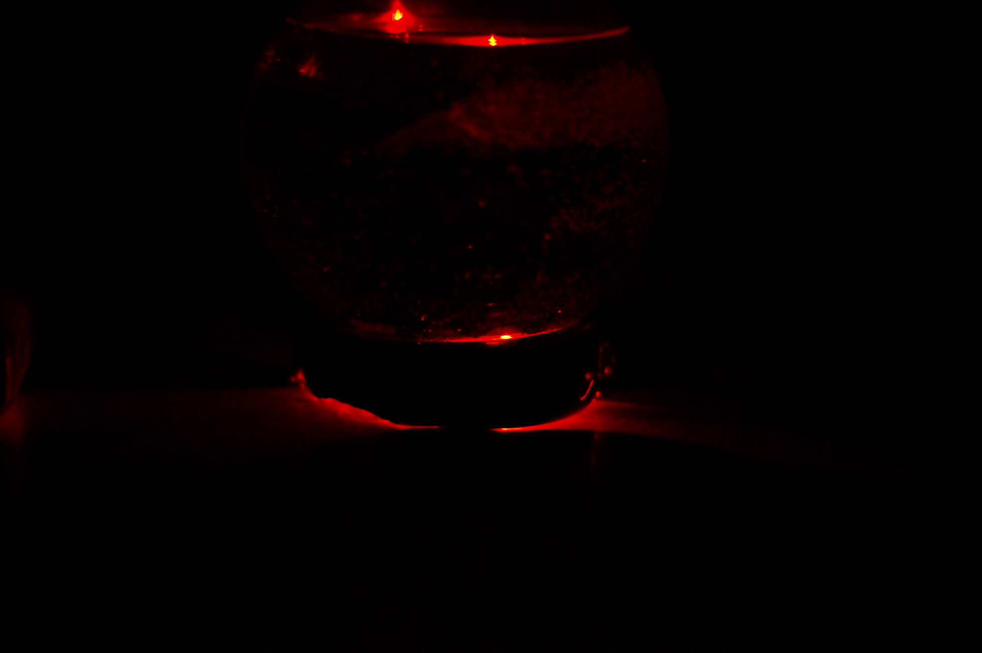 DSC09711.JPG