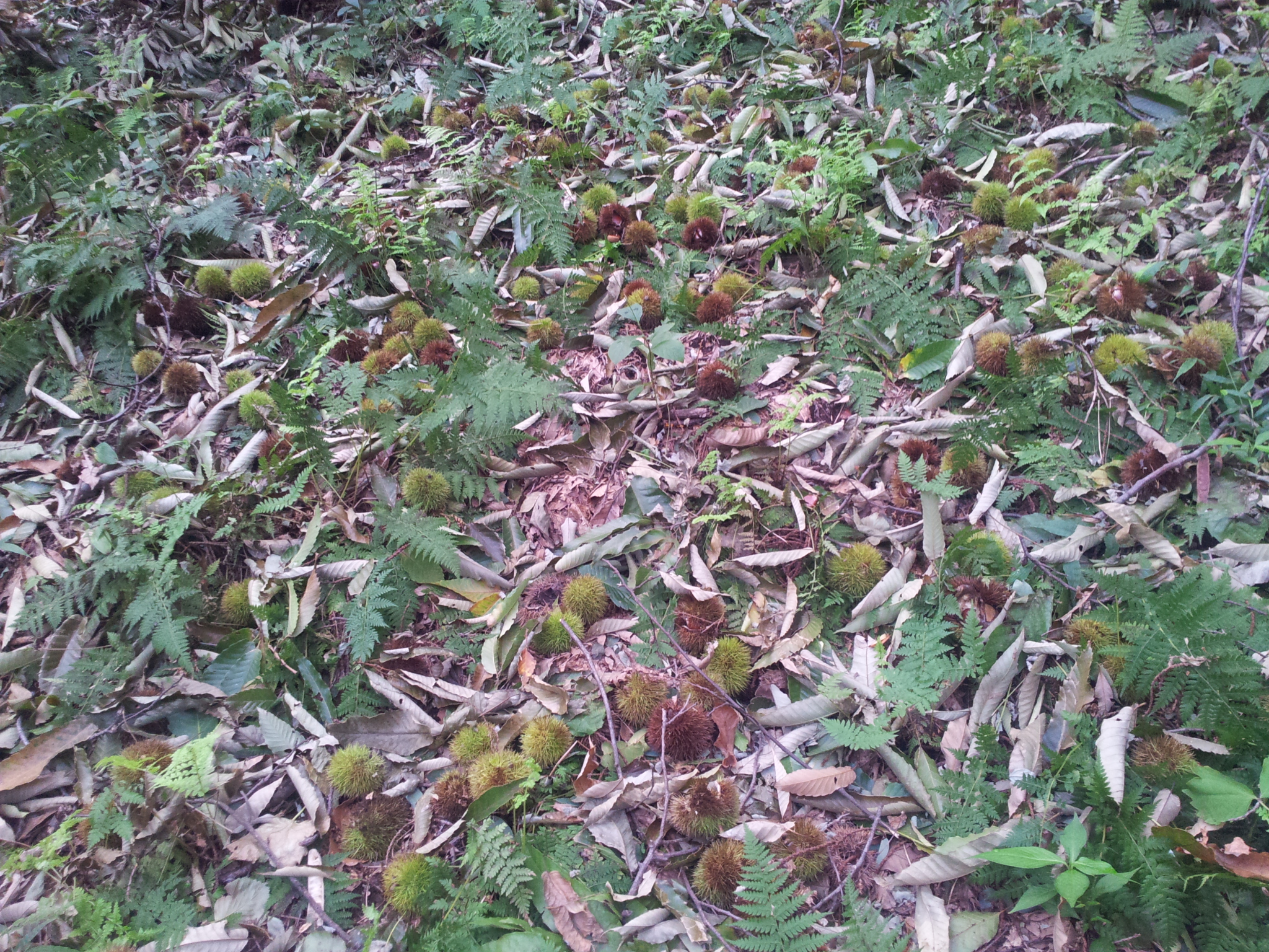 20120902_152714.jpg