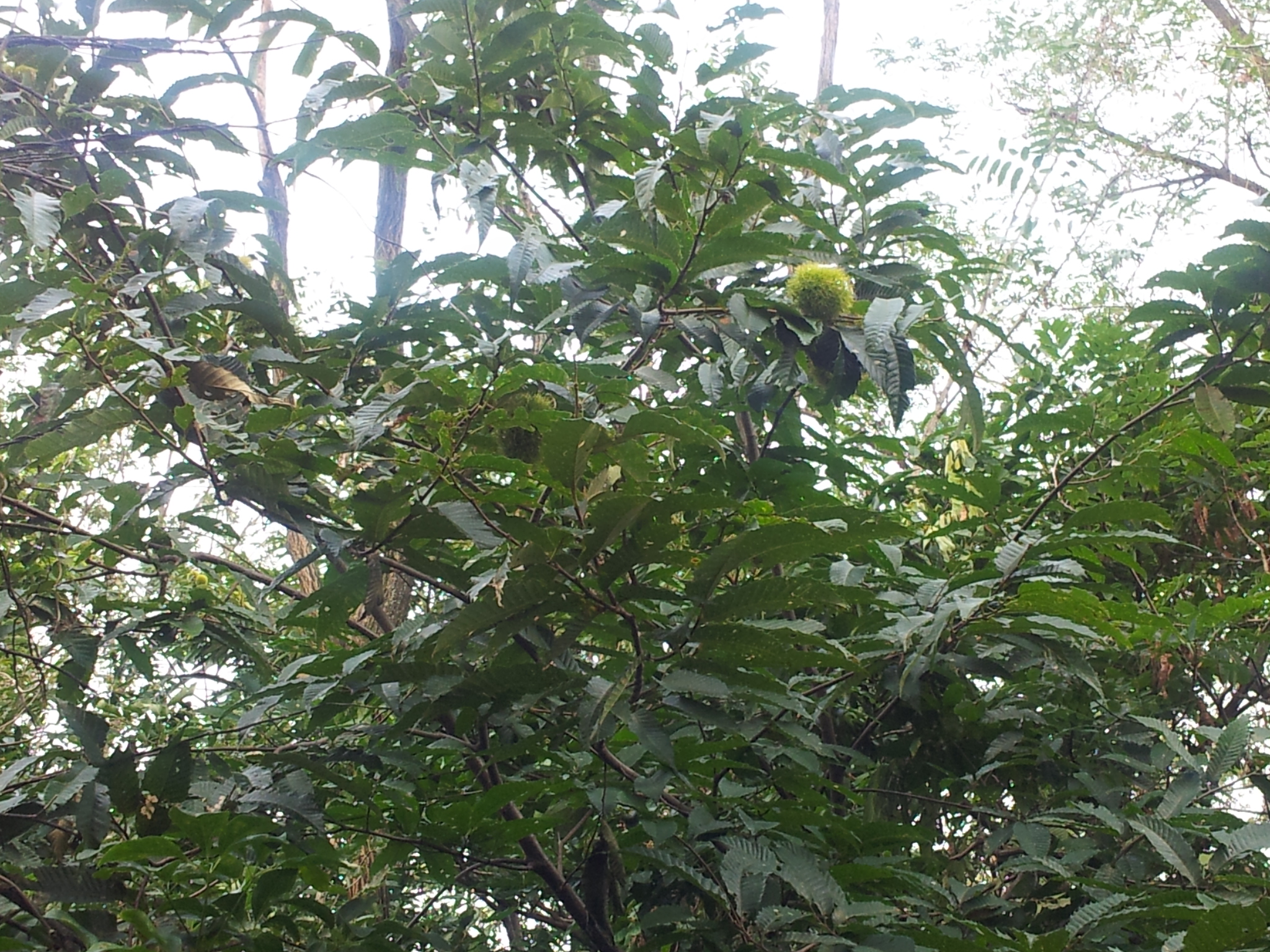 20120902_154036.jpg