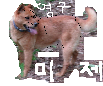 22.jpg