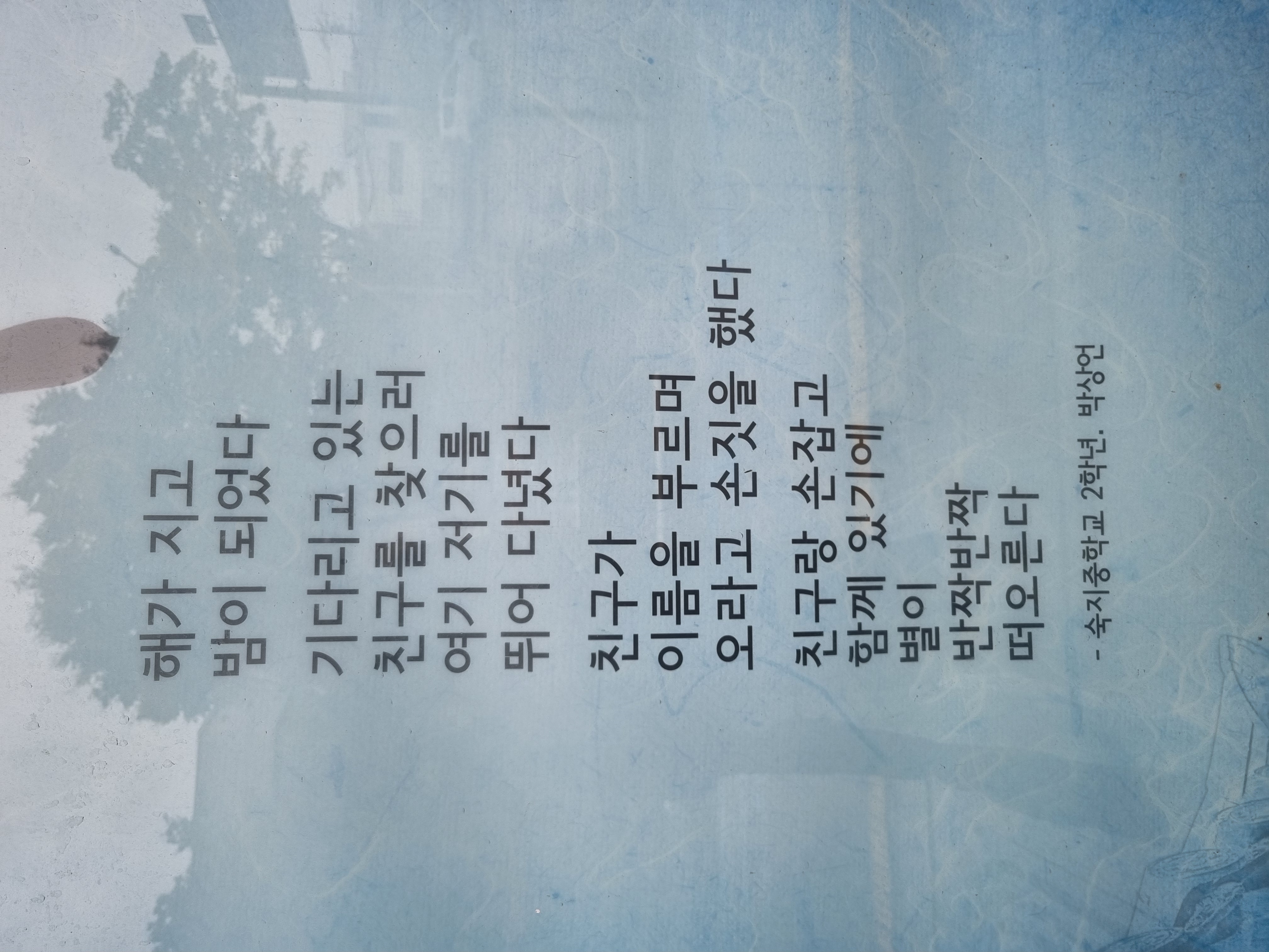 20240912_114411.jpg