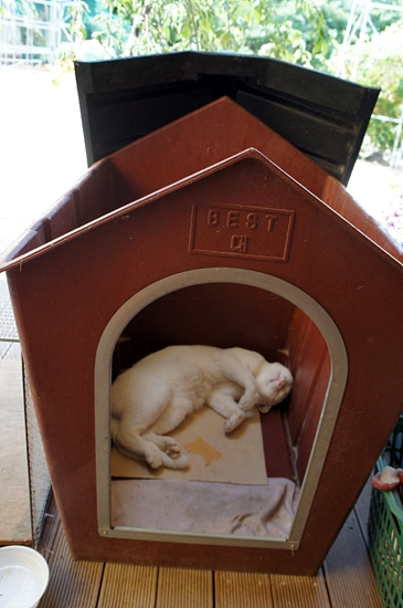 DSC08158.jpg