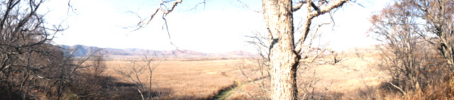 DSC04244.jpg