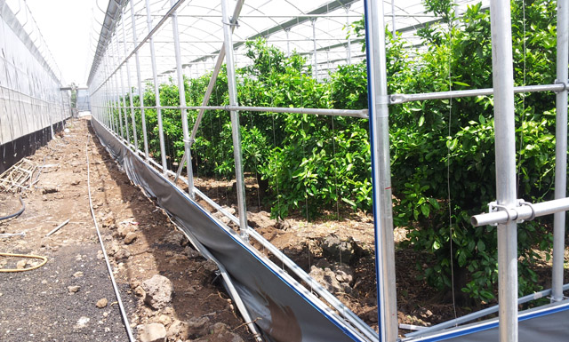 20140529_113627.jpg