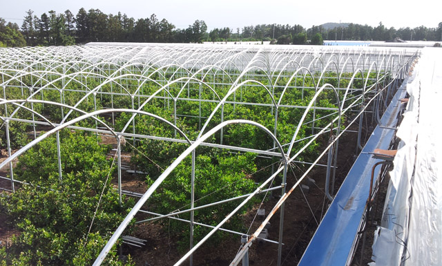 20140517_170337.jpg