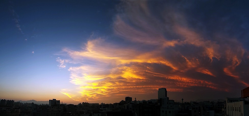 a20140919_060645s.jpg
