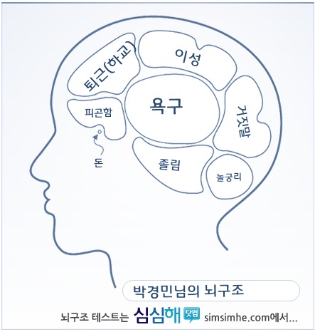내 뇌구조.jpg