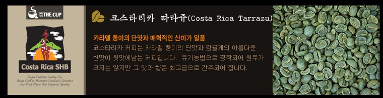 11st_co_kr_20140926_235251.jpg