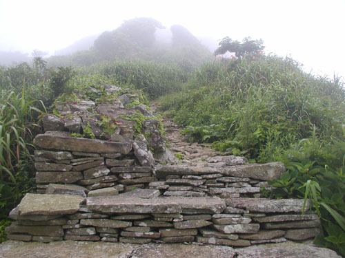 P1010034.jpg