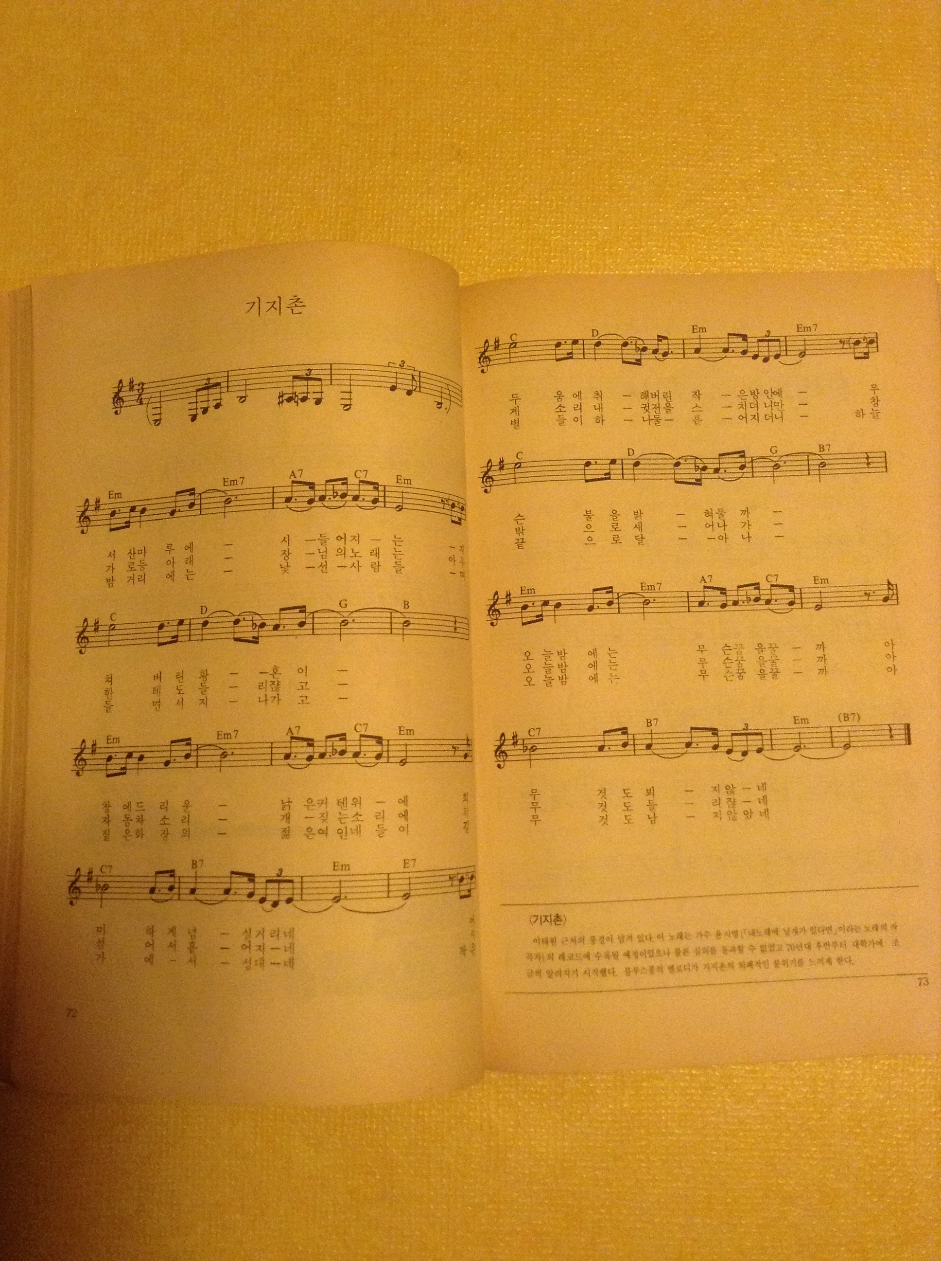 image3.JPG
