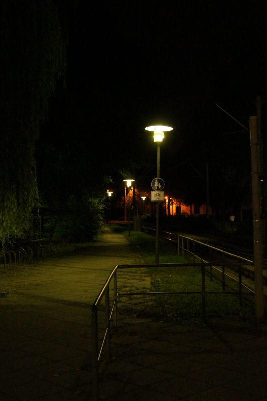 DSC00212.jpg