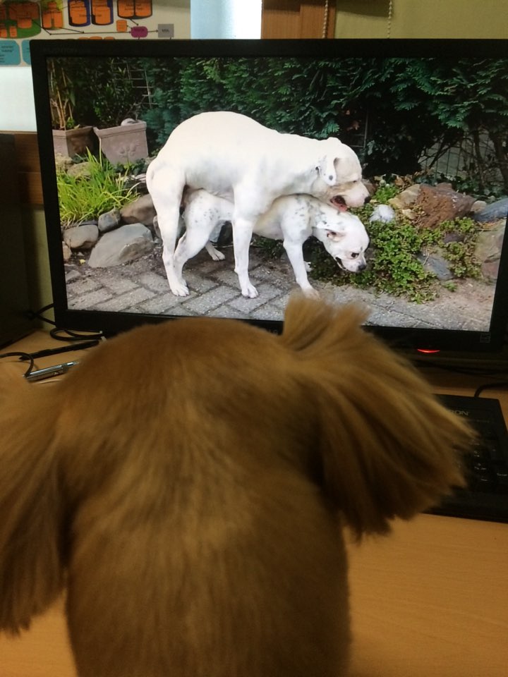 KakaoTalk_20150315_103740332.jpg