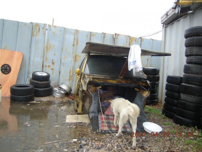 rain_89487_14194_ed.jpg