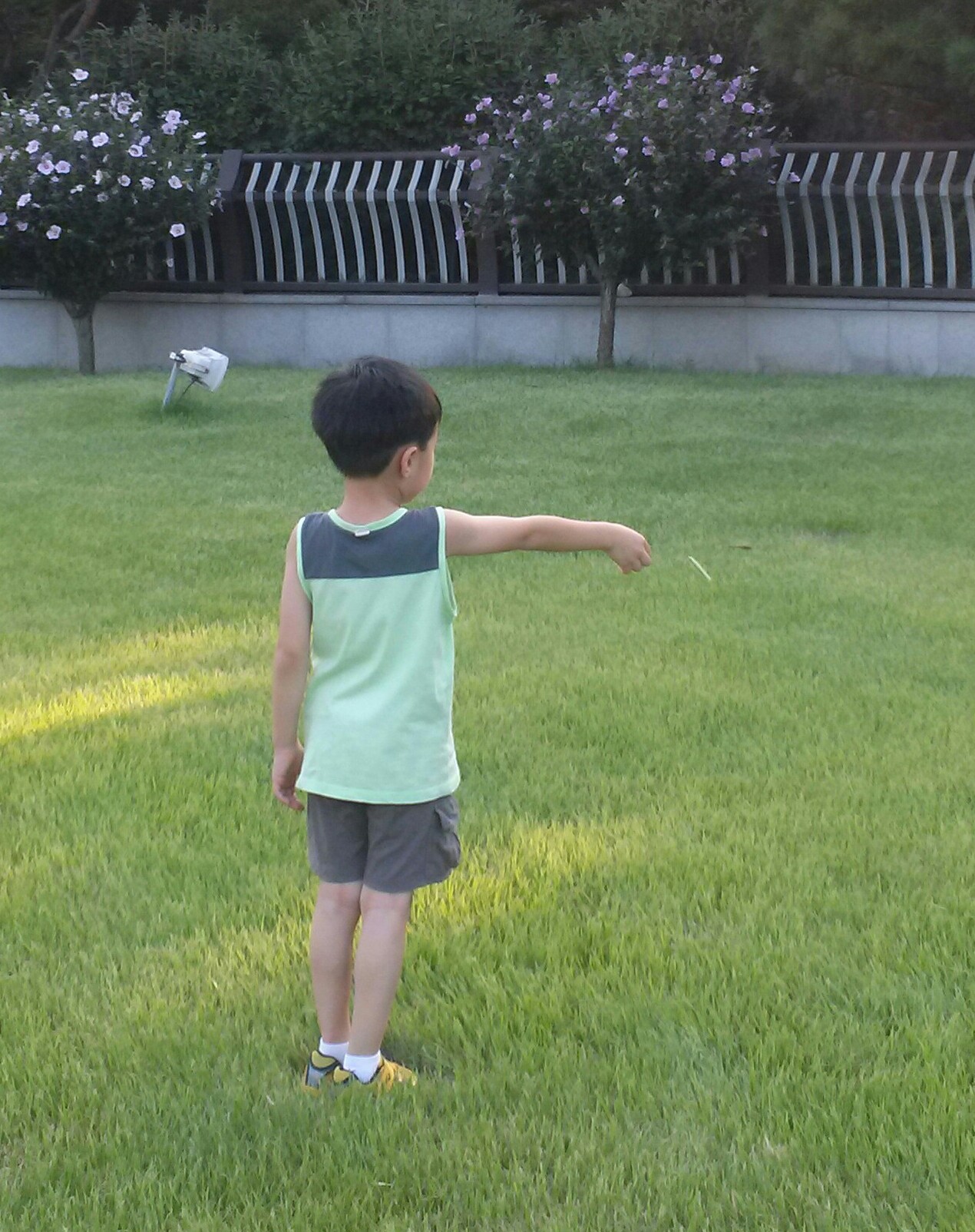 20150810_175205-1-1.jpg