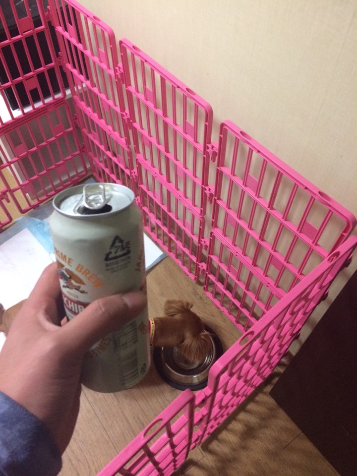 KakaoTalk_20150321_221657952.jpg