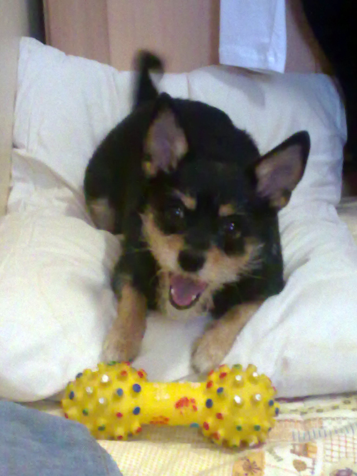 20100624694.jpg