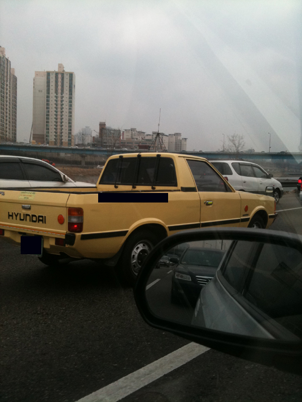 pony_1103.JPG