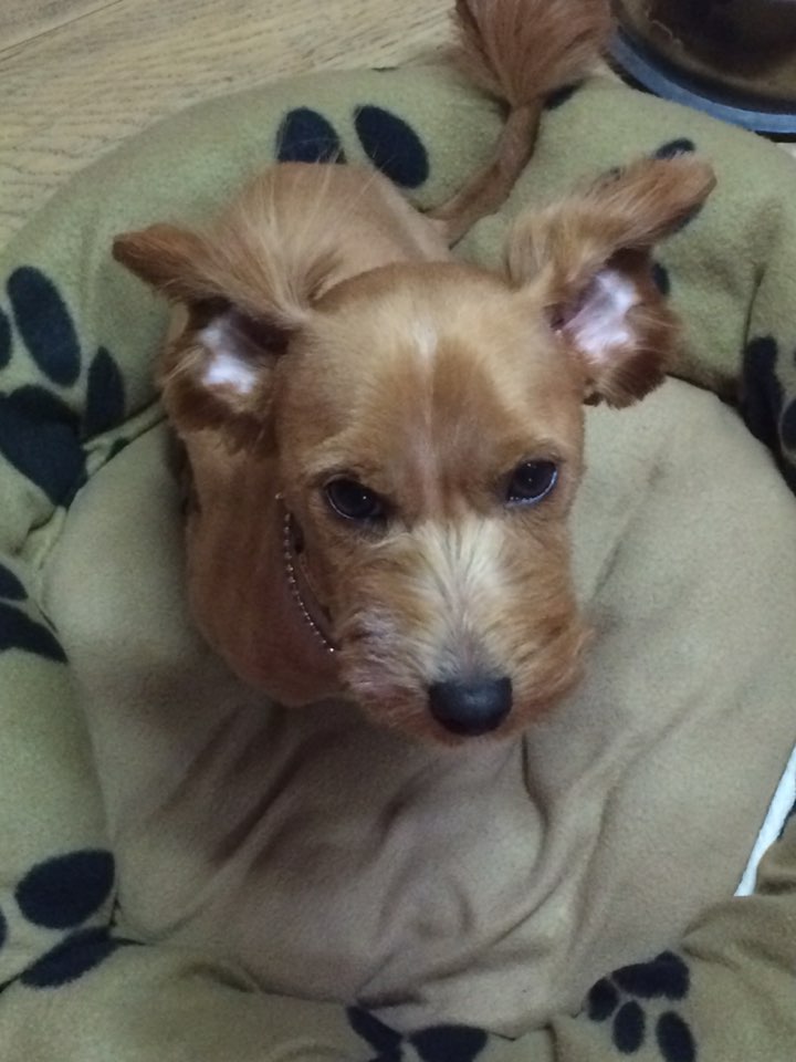 KakaoTalk_20150313_083717267.jpg