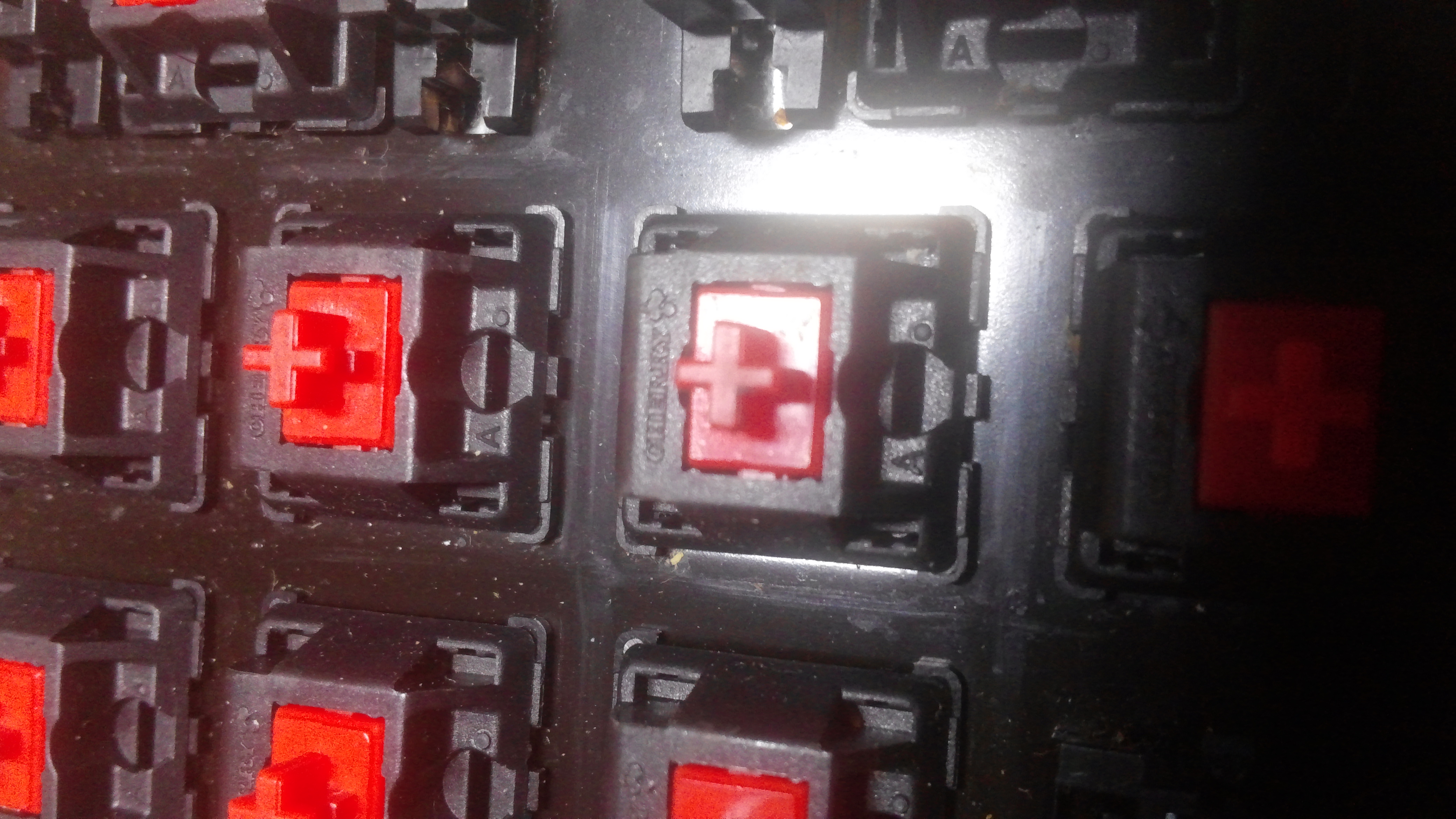 20140911_203411.jpg