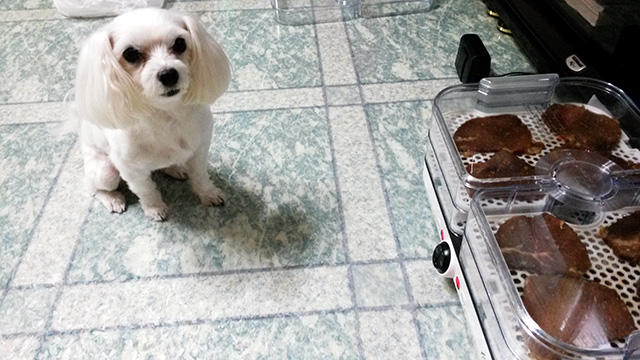 20140815_081350.jpg
