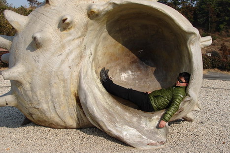 004 소라_resize_resize.jpg