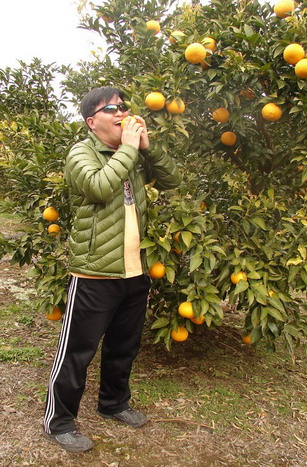 027 귤_resize_resize.jpg