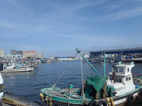 P2260147.JPG