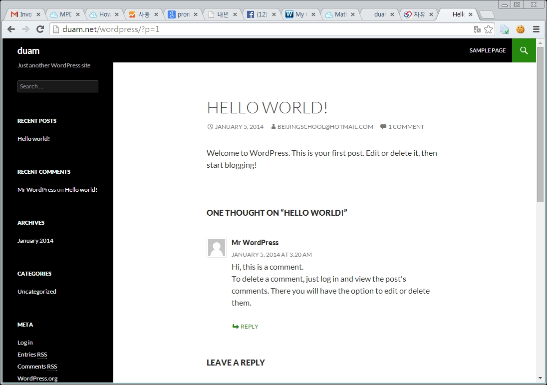 daumwordpress.jpg