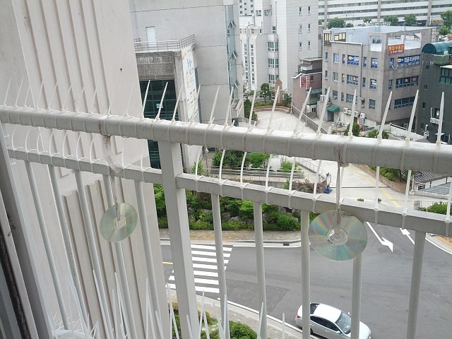 b2.jpg