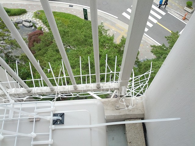 b4.jpg