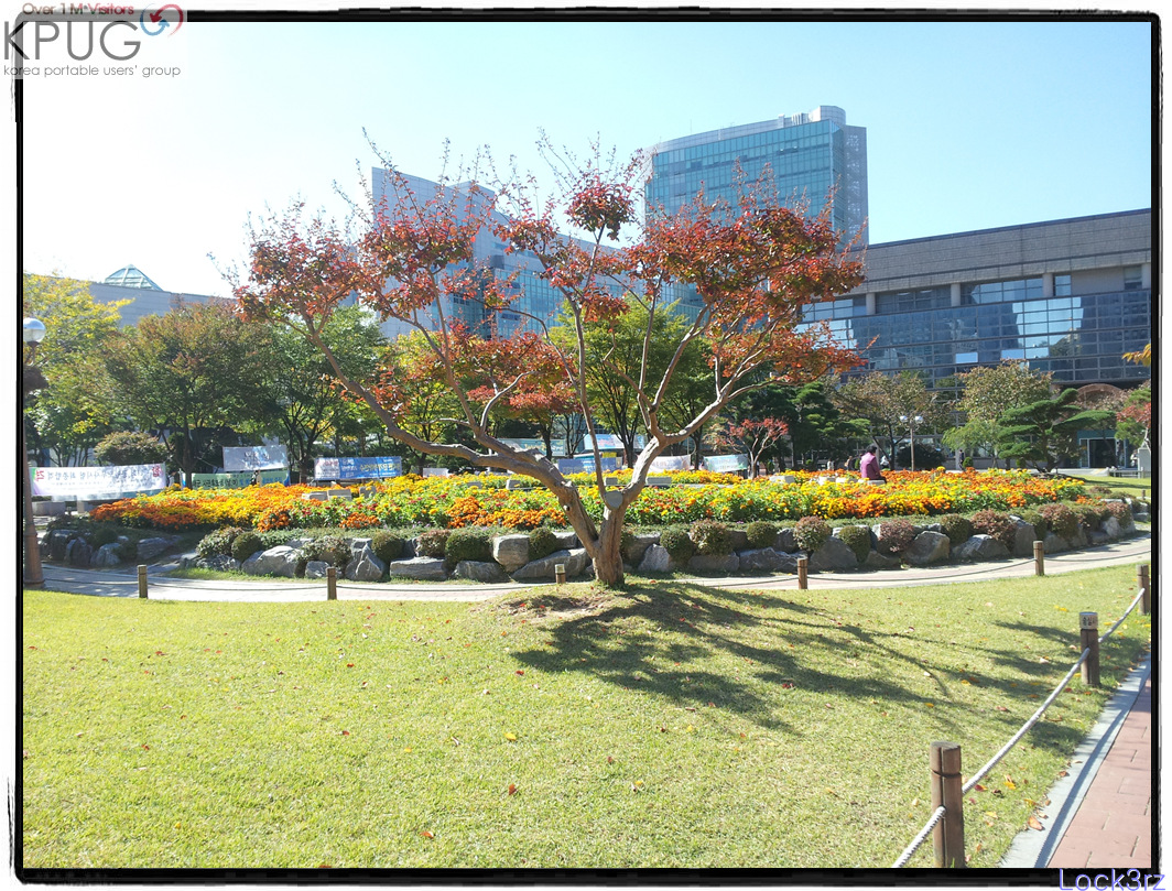 20121017_123555.jpg