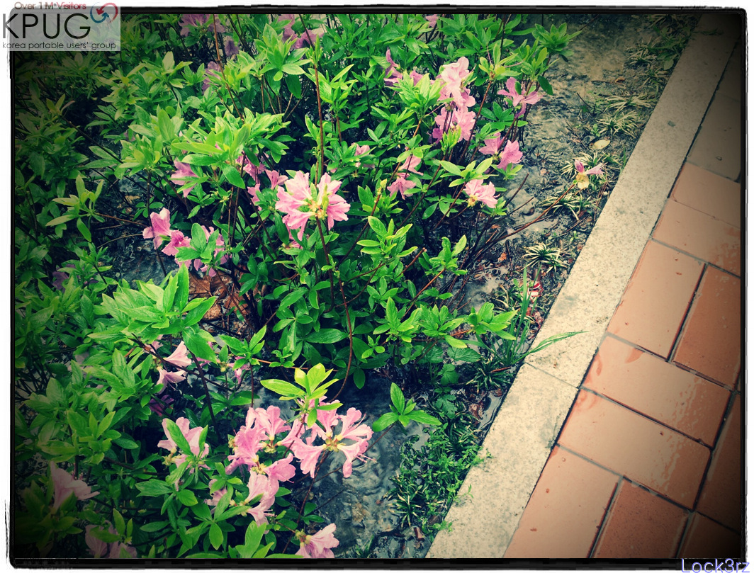 20120425_151240-picsay.jpg