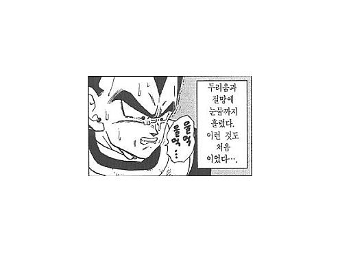 베지터.jpg
