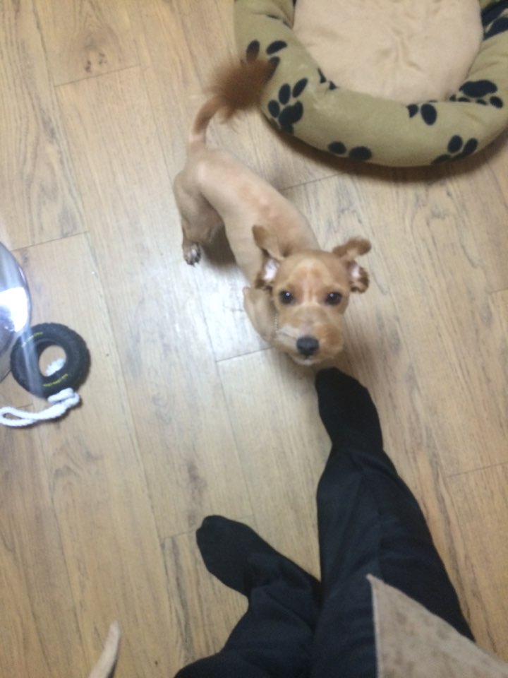 벤지3.jpg